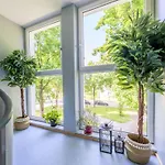 Eg Links Helle 70m 2-zimmer Naehe Salzburg By Interhome